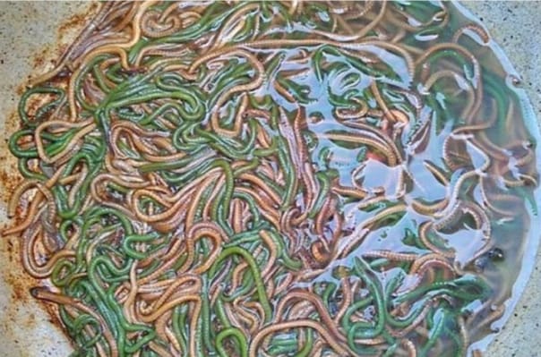 Panggung Spektakuler di Malam Puncak Event Bau Nyale – RADIO LOMBOK FM