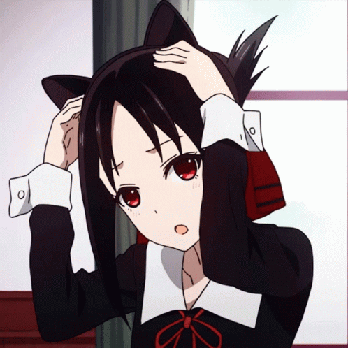 pix Cat Ears Pfp Gif anime cat ears icon novocom top