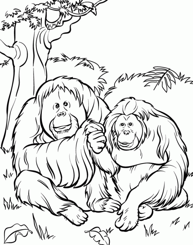 88000+ vectors, stock photos & psd files. free printable zoo coloring pages for kids