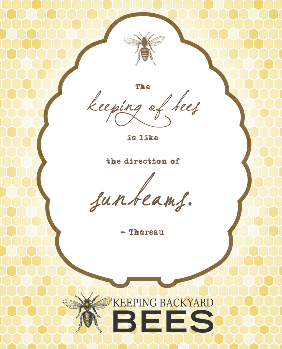 Bee Pic 1 Keeping Backyard Bees - 4K Colorful Pictures for Desktop