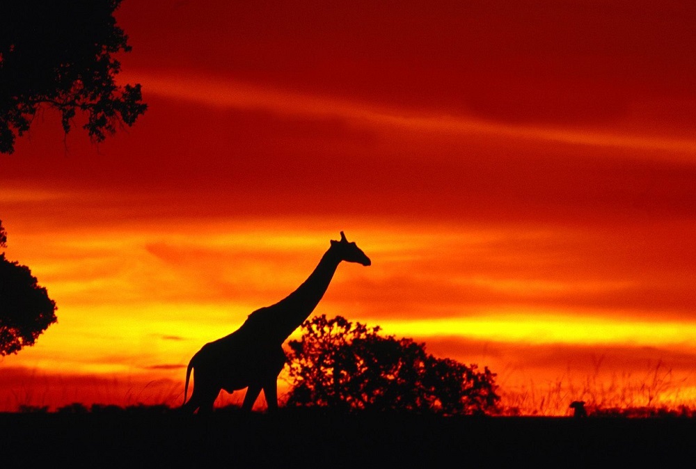 Maybe you would like to learn more about one of these? Los 10 Mejores Atardeceres Del Mundo Que Hay Que Visitar Alguna Vez