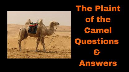 The Camel Class 7 English Lesson 3 With Full Questions Answer Discussion Analysis Bse Odisha What is fun to compare.