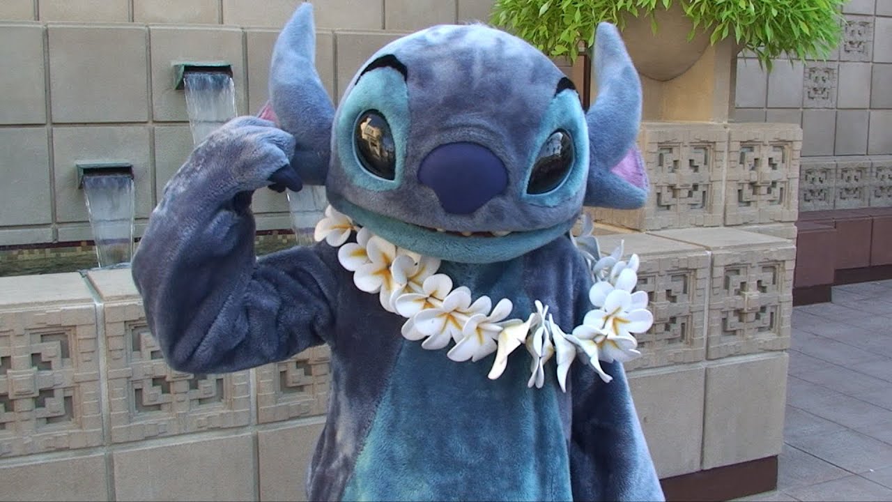 Buy lilo and stitch bowl cups mugs spoon plate kitchen utensils set in singapore,singapore. Stitch Cleans Our Camera Lens w/ His Tongue & More at