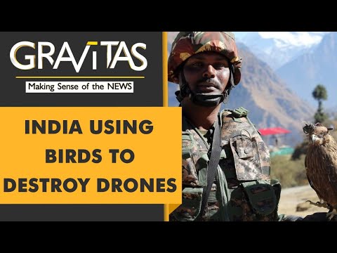 Gravitas: India's $80 anti-drone system?