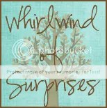 Whirlwind of Surprises