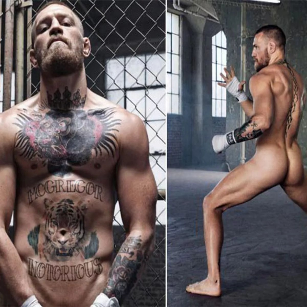 Conor McGregor strips fully naked: 'Is this your gay porn debut?' - Daily  Star