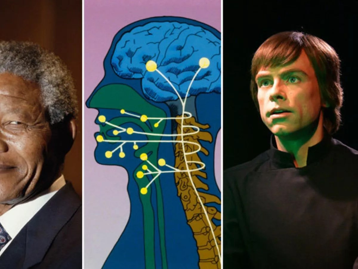 Approximately 1.6180339887, two quantities are considered to be in perfect golden ratio if the ratio of those two quantities and the larger one is the same as the ratio between the larger and smaller ones. You Have Fake Memories How Millions Are Suffering From The Mandela Effect Daily Star