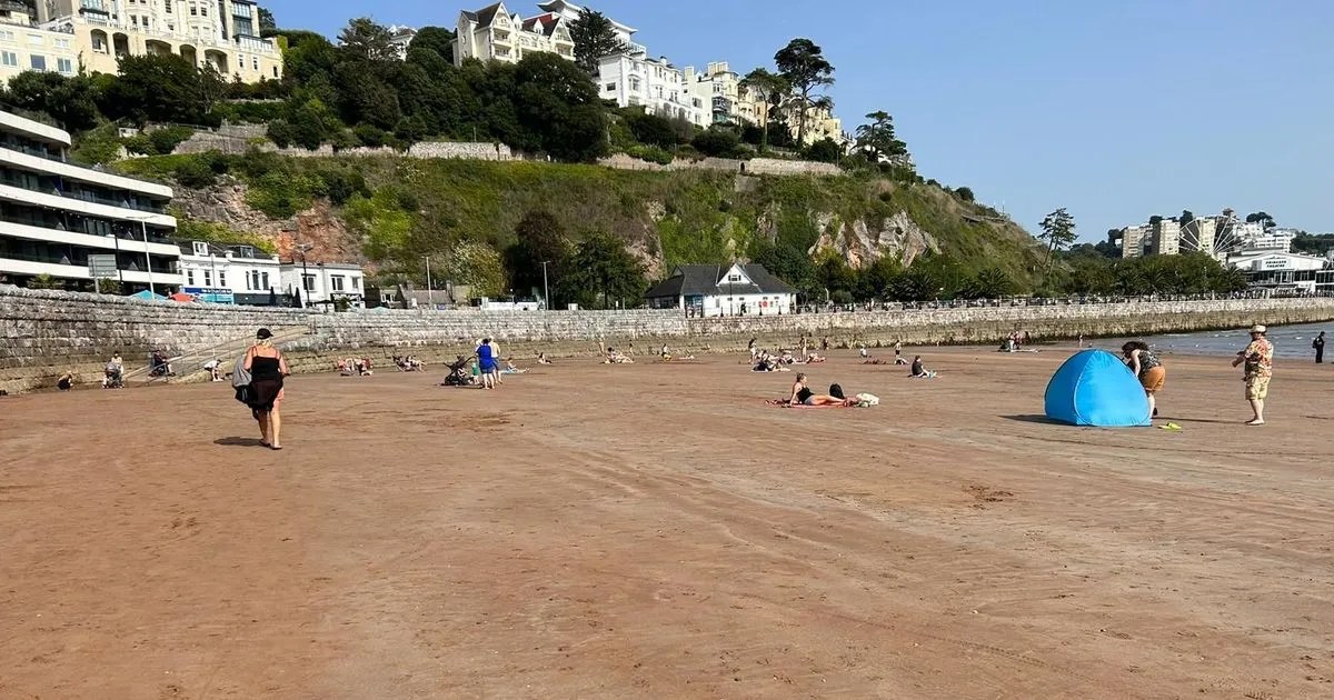 Torbay's Beach Revolution: Why the Blue Flag is Out (2026)