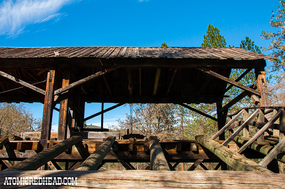 Sutter S Mill Atomic Redhead - Download Modern Nature Pattern | HD