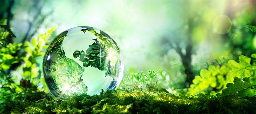 Environmental Becc Inc
