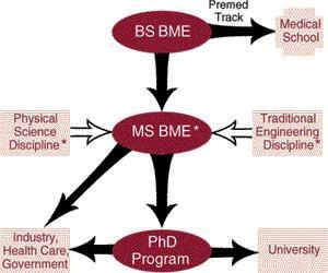 Scope Of Bme Latest Biomedical Engineering Updates Jobs
