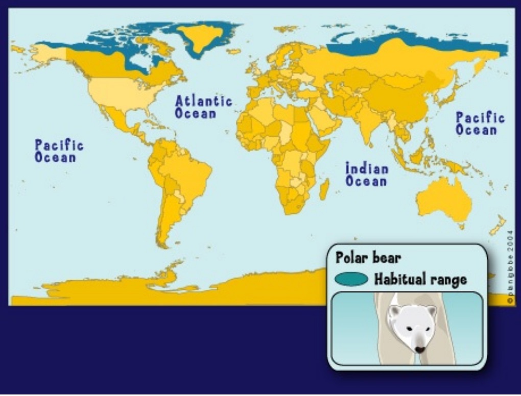 2022 World Map Of Where Polar Bears Live 2022 World Map With Major Modern Pb Habitat 