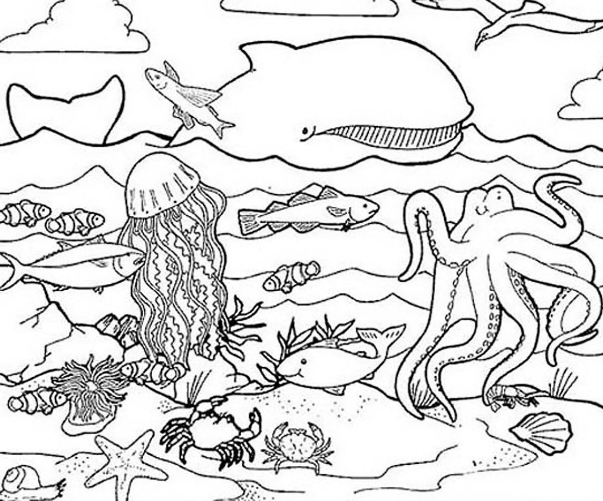 Free printable marine life coloring pages