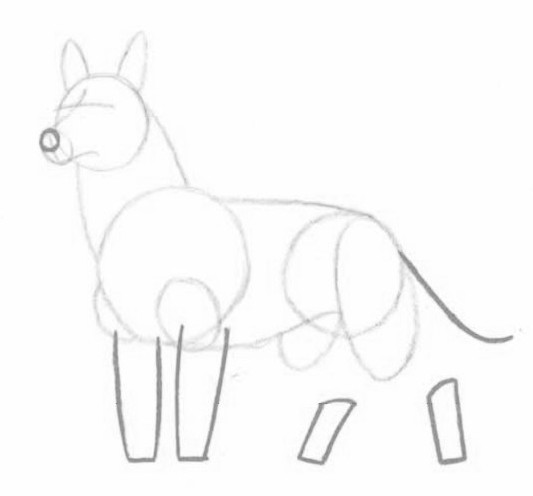 как нарисовать морду волка