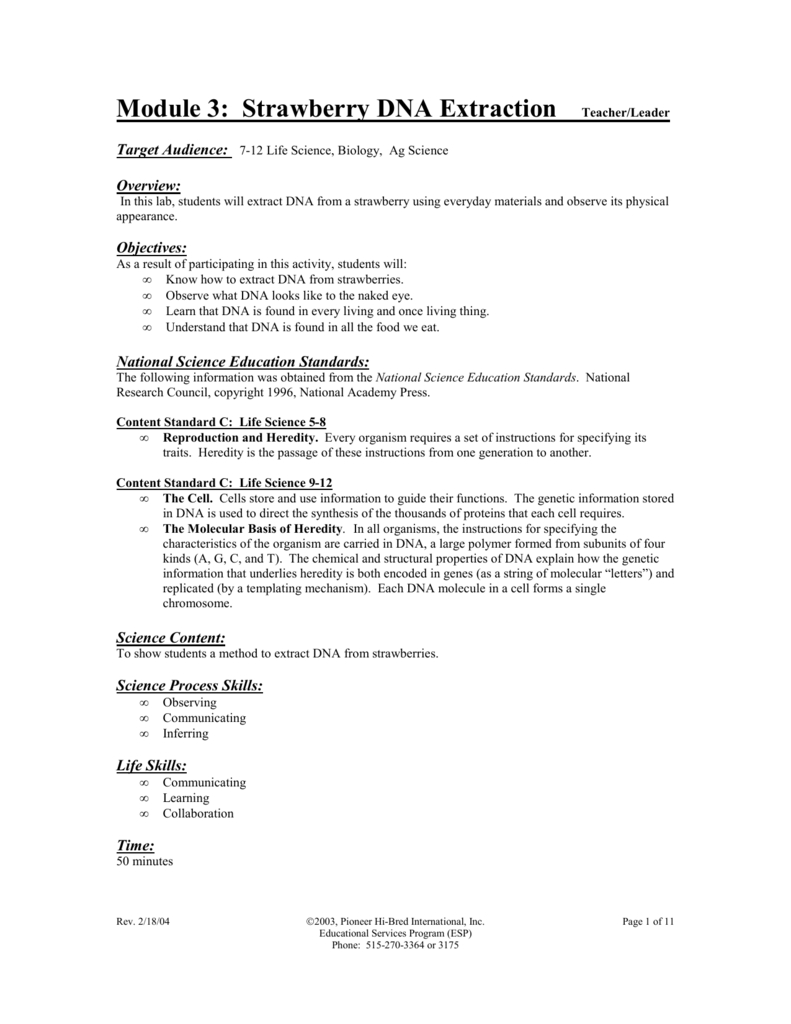 Strawberry dna extraction lab worksheets