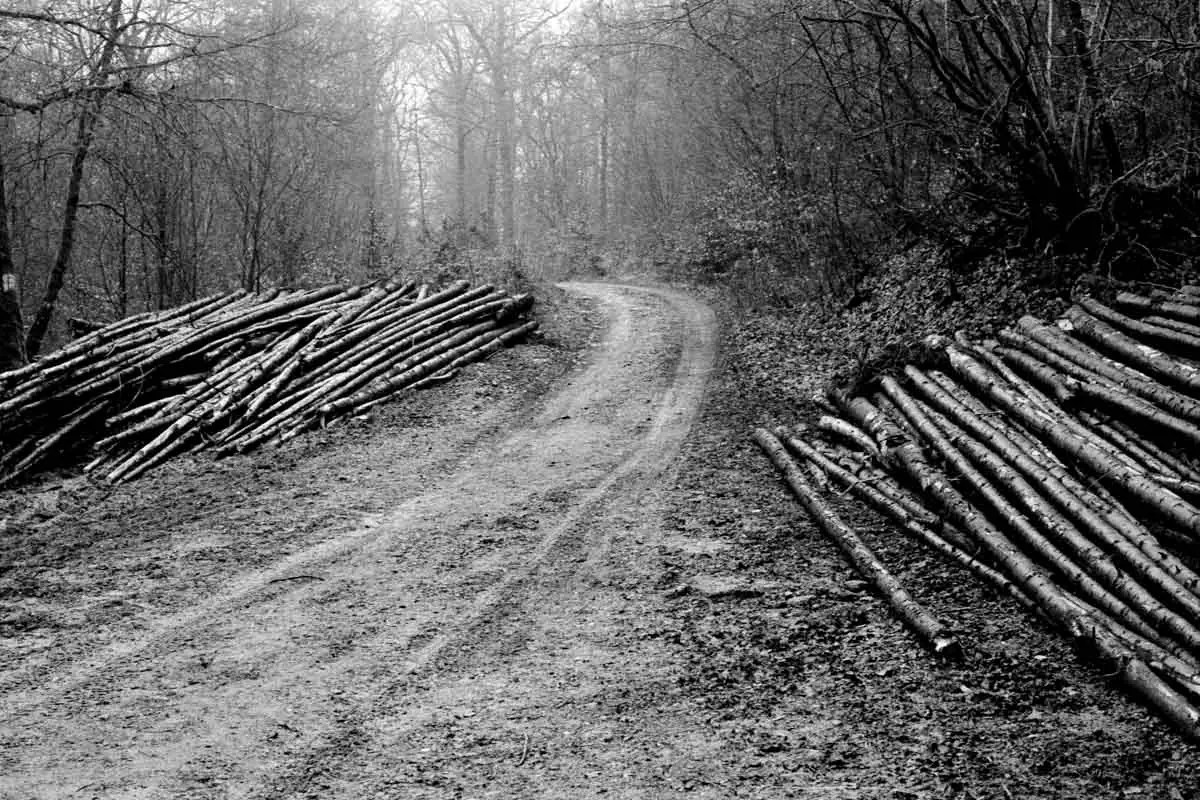 pic Agfa Apx 400 Review emulsive