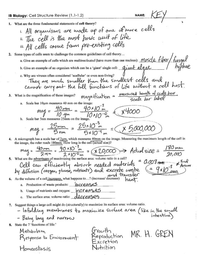 Transport in cells pogil answer key pdf › athens mutual student corner