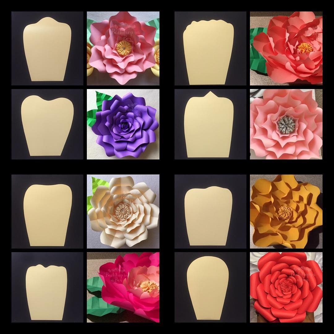 pic Moldes De Flores De Cartulina Para Imprimir Gratis papel cartulina moldes para flores