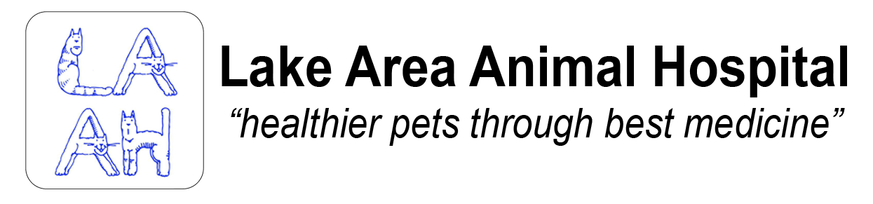 8+ lake area animal hospital hawthorne florida article