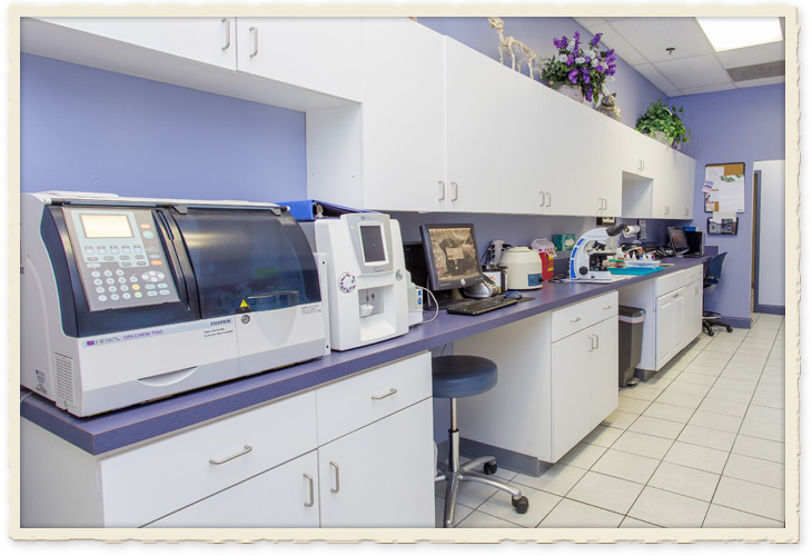 List of mapleshade animal hospital woodbridge for you