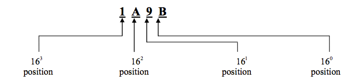 Homework Mrs Elia S Python - Premium Mountain Photo Gallery - 4K