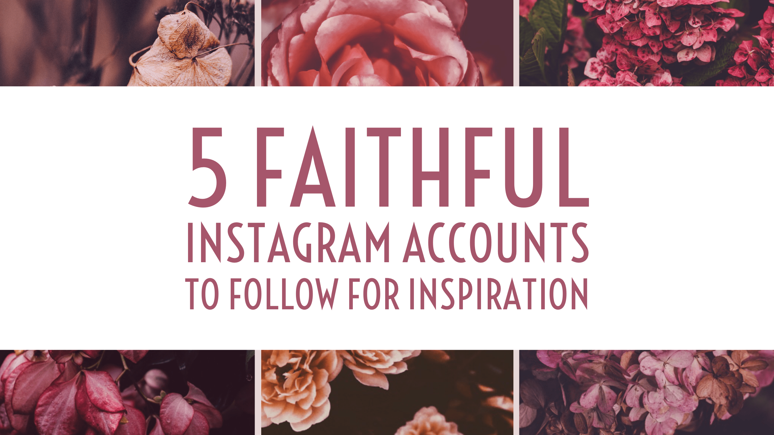 Richmond Faithful Instagram Linktree - Download Ultra HD Sunset Illustration | Mobile