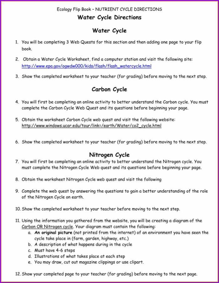 Nitrogen cycle worksheet answers key worksheet