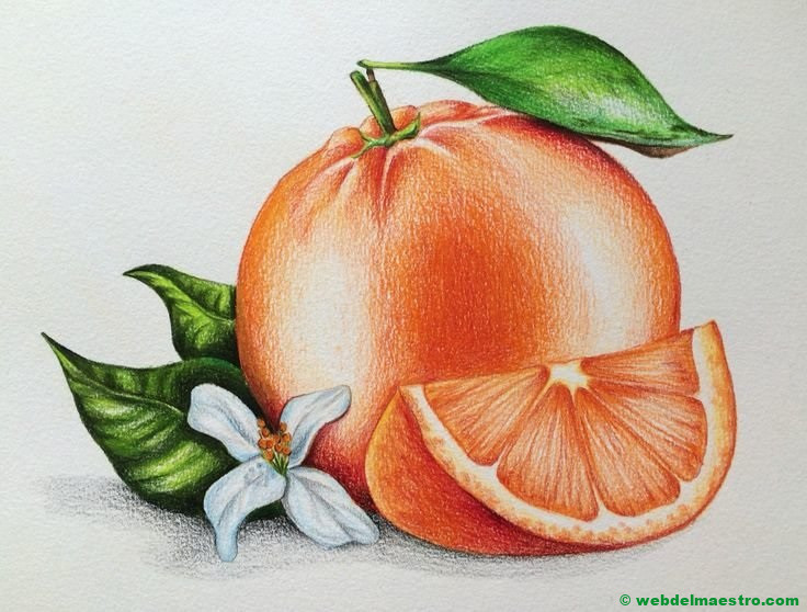 pic Colores Dibujo Bodegon A Lapiz Facil dibujo frutas lapiz