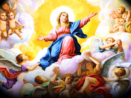 Solemnity Assumption Of The Blessed Virgin Mary The Catholic Sun Death the last enemy will be put under his feet it says. Solemnity Assumption Of The Blessed Virgin Mary The Catholic Sun Geoff died young and presumably now knows the answer.