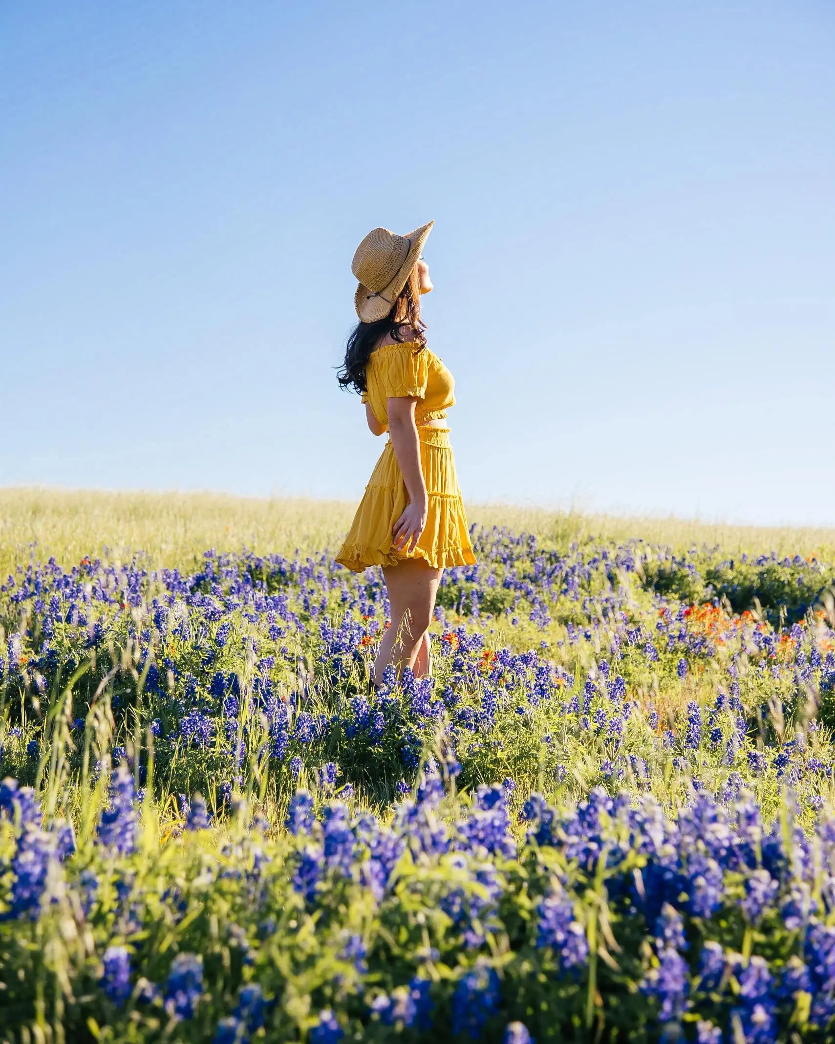 images Flower Fields Near Me flower fields in dallas in 2021