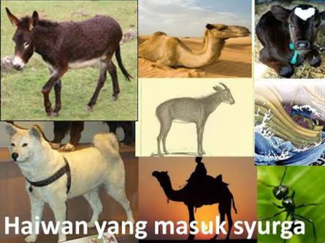 10 Hewan yang Dijamin Masuk Surga Oleh Allah SWT - Lintas Nasional
