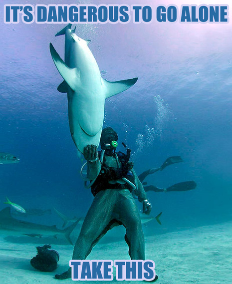 picture Shark Memes Funny what can the funniest shark memes on