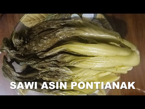 Cara Membuat Sawi Asin Dengan Tepung Beras Lagu Mp3 Mp3 Dragon Masukkan sawi pahit ke dalam larutan air tajin air sudah dingin.