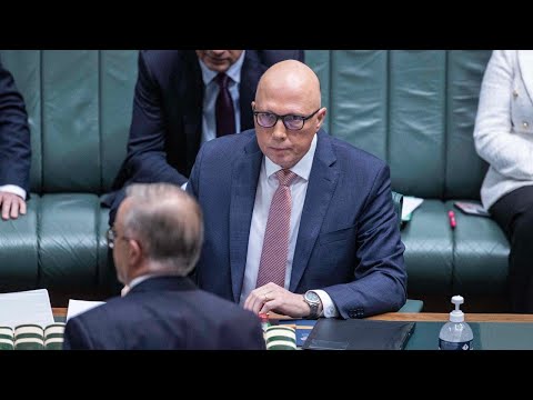 Australians sick of politicians ‘slagging each other off’: Clennell