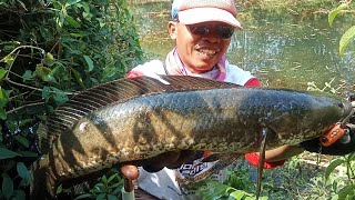 Dapatkan Gambar Cara Mudah Budidaya Terkeren oleh www.lampunghits.com