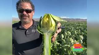 Coachella Virtual Field Report - January 20, 2022 thumbnail