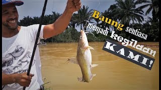 Unduh Gratis Gambar Jangan Lepaskan Baung Ekor Merah Ke Sungai Wilayah Berita Harian Terupdate by Lampunghits.com