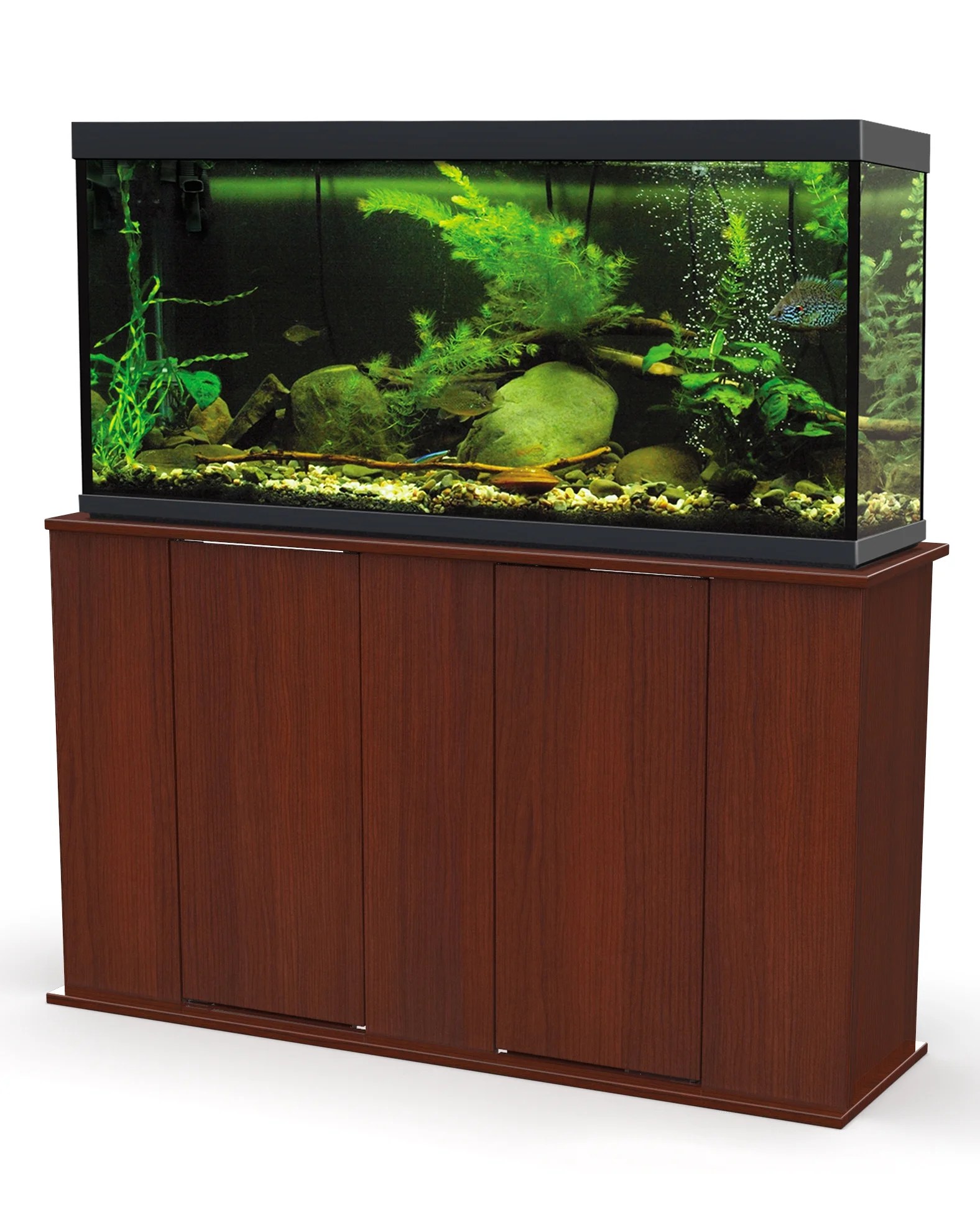 55 Gallon Fish Tank Guide Best Fish Setup Ideas Equipment And More Fishkeeg World A standard glass 55 gallon fish tank that measures 48 x 13 x 20 will weigh 487 pounds if it is filled with freshwater and it will weigh 498 pounds if its a saltwater tank. 55 Gallon Fish Tank Guide Best Fish Setup Ideas Equipment And More Fishkeeg World The 50-gallon aquarium size L x W x H of a 50-gallon aquarium should ideally be up to 11550 cubic inches.