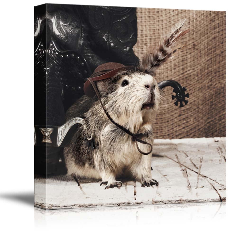Funny Guinea Pig Photos