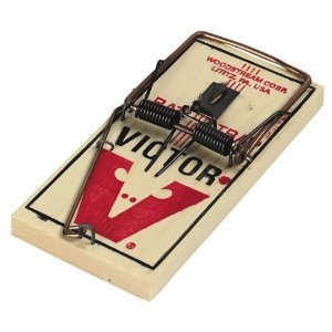 Check Victor Professional Rat Trap Wooden Snap Trap M326 - Latest Update 