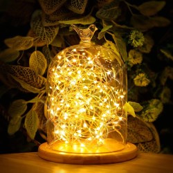 lights led string decorative usb rope bedroom lighting fairy remote wire kohree commercial indoor copper patio garden changing warm 33ft