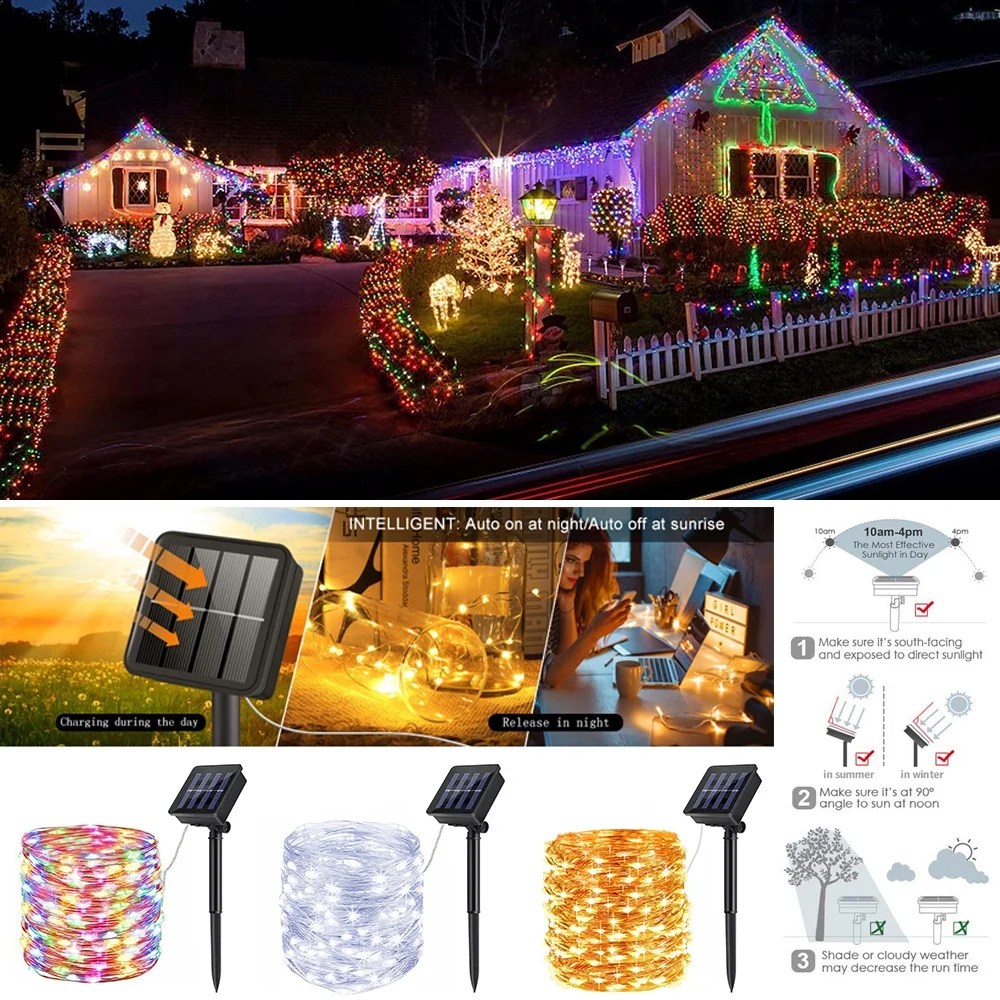 Four Direct Auto Winter Garden Modeling