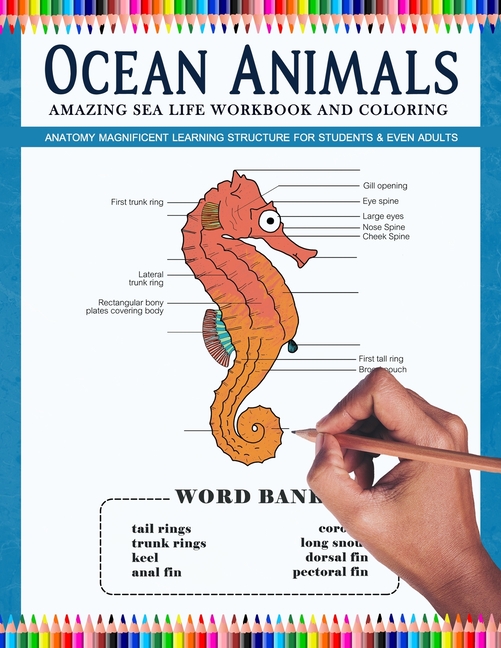 Solution compared to a color chart specific to the test. Ocean Animals Amazing Sea Life Workbook And Coloring Anatomy Magnificent Learning Structure For Students Even Adults Marine Life Dolphins Seahorse Turtle Fish Squid Paperback Walmart Com