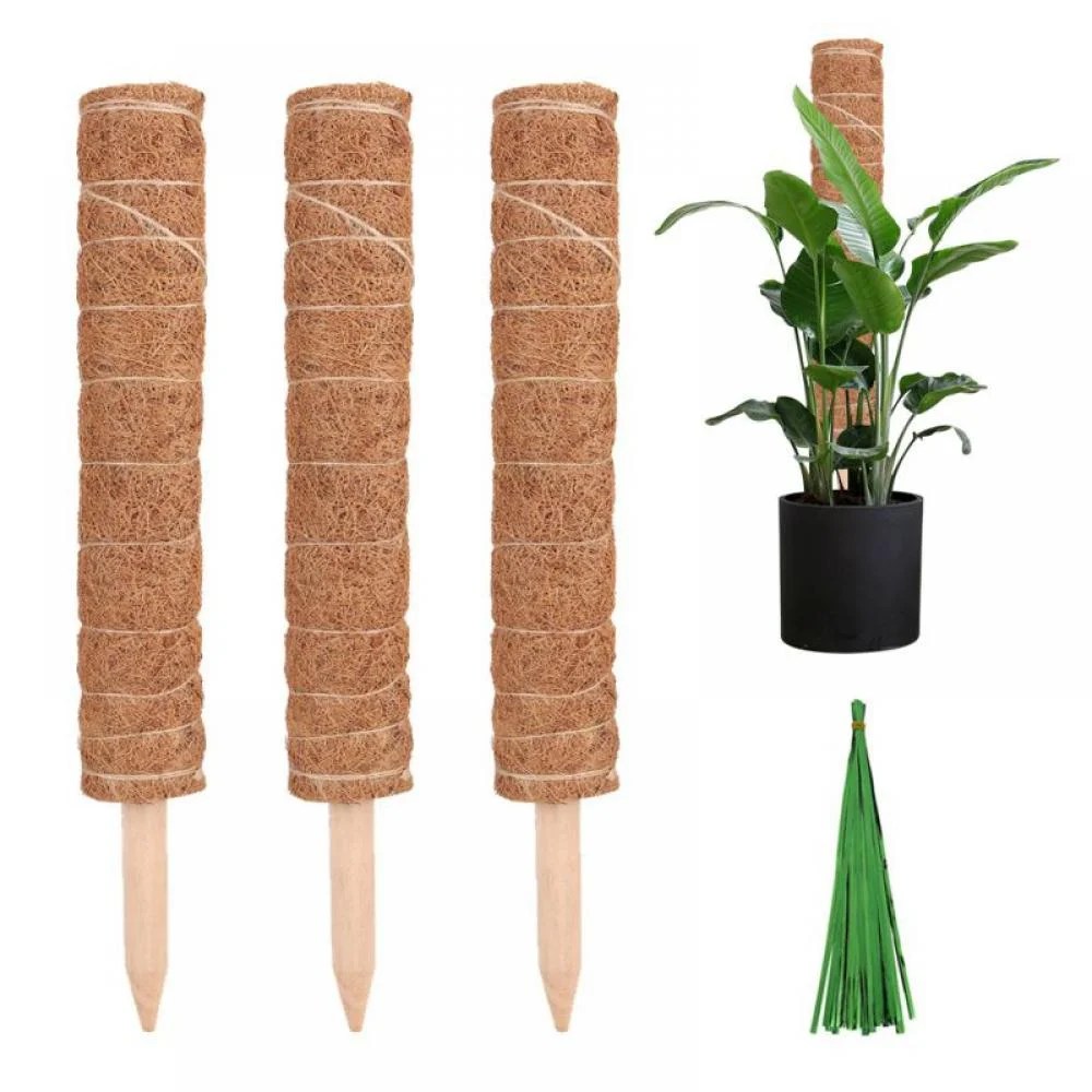 Rd.com home gardening every editorial product is independently selected, though we may be compensated or receive an a. Moss Pole 20 Inch Coir Totem Plant Support 3 Coco Sticks For Climbing Indoor Potted Plants 50 Paper Twist Ties Monstera Philodendron Pothos Creeper House Plants Grow Walmart Com