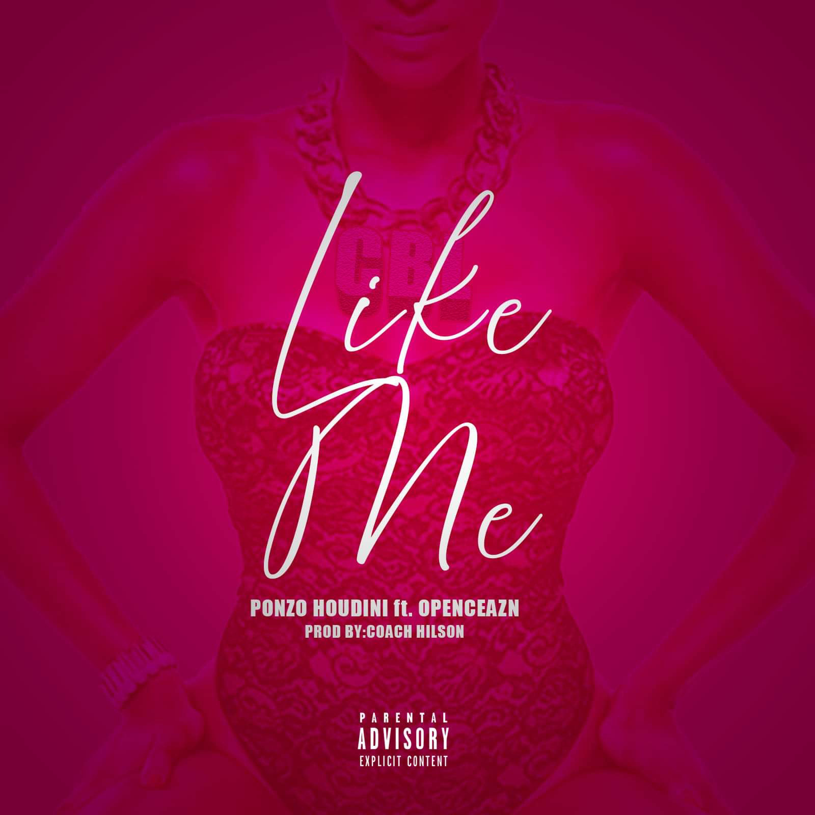 Ponzo Houdini ft. Openceazn “Like Me”