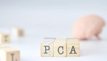 PCA Unemployment