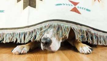 Hide from Unemployment