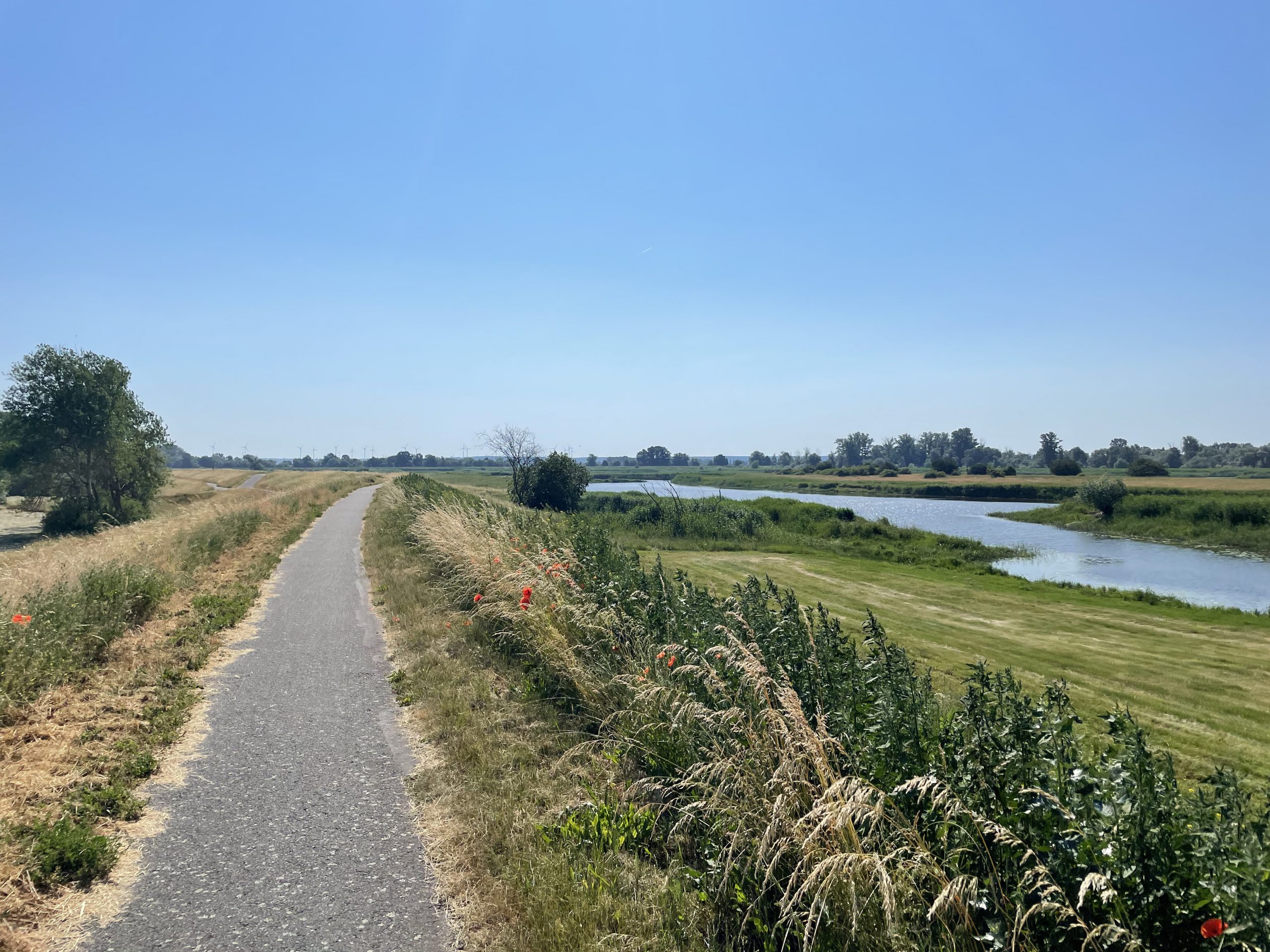 bei Klessin - Ostsee-Tour - iamcycling.de