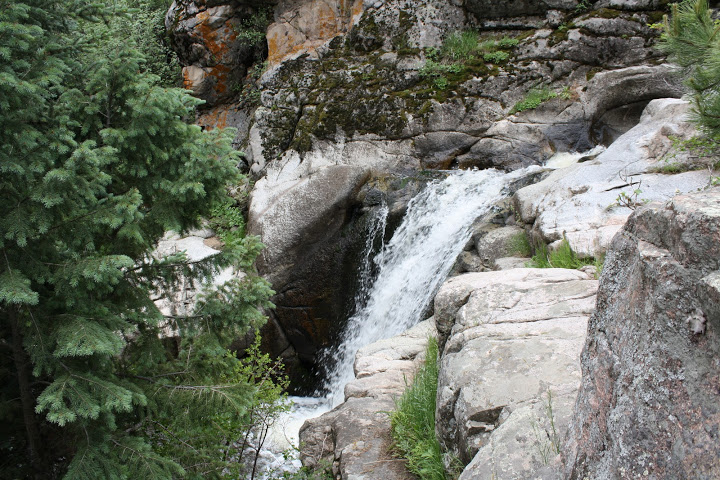 IMG_6416