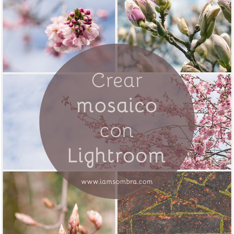 portada tutorial lightroom mosaico